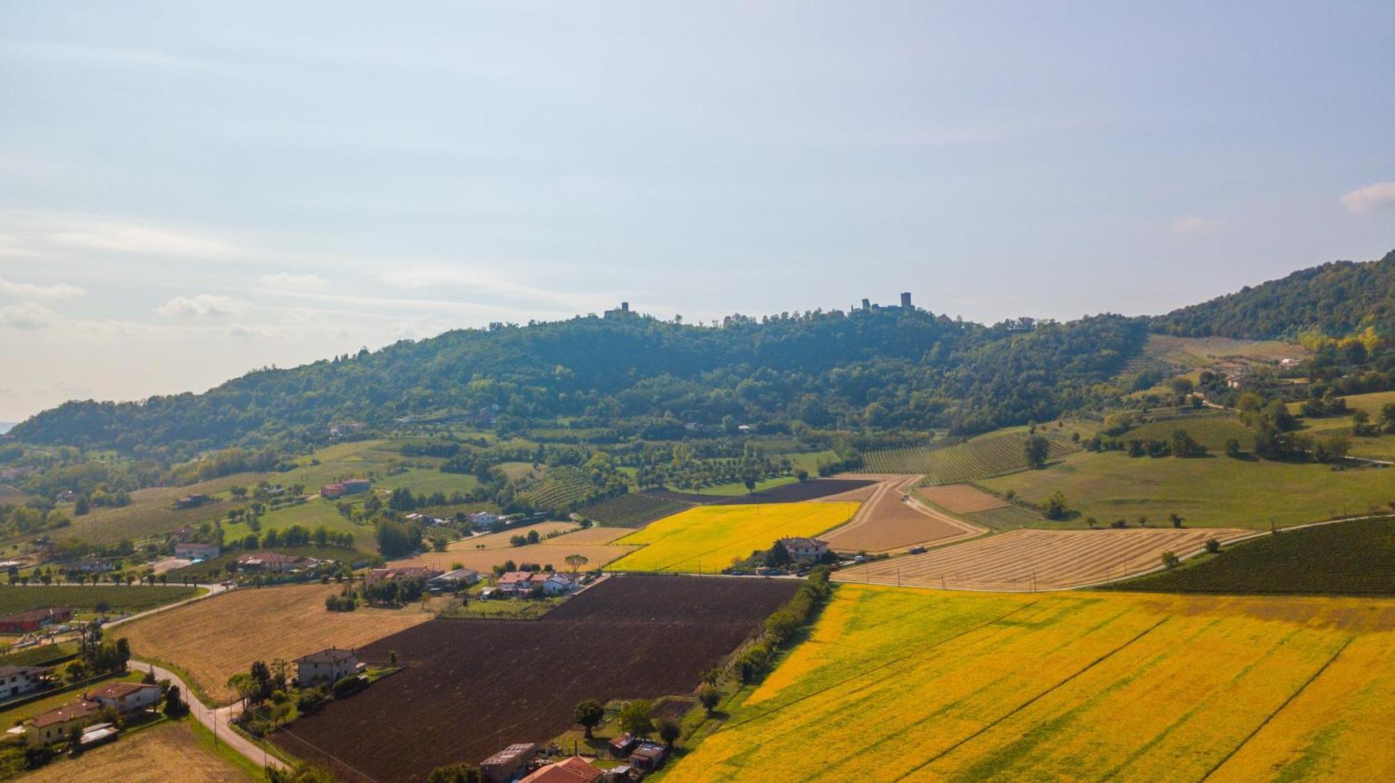 Agriturismo Riva Ratta Montecchio Maggiore Exterior photo